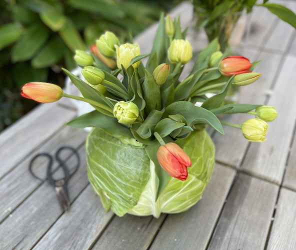 DIY COTTAGE GARDEN CABBAGE VASE  (FEATURING FARMGATE TULIPS)