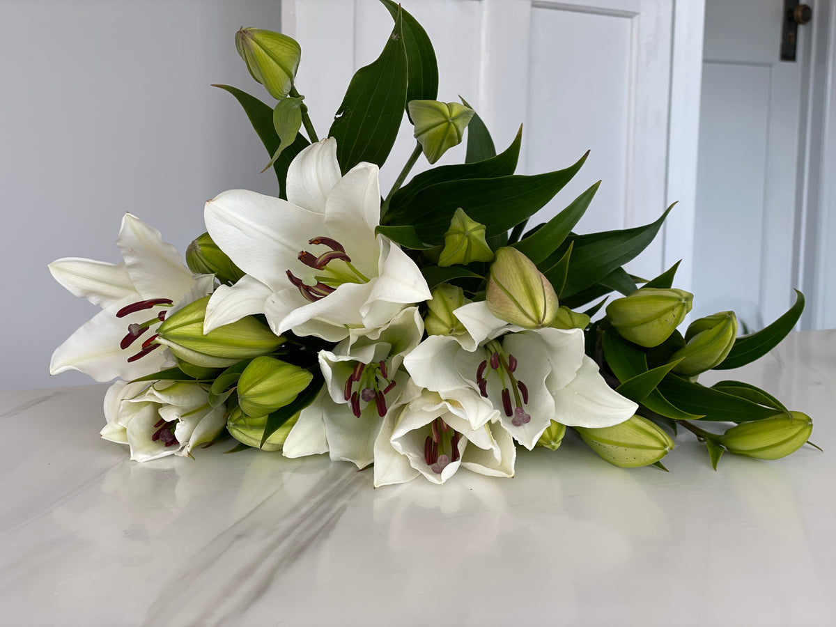 CARING FOR ORIENTAL AND ASIATIC LILIES Farmgate Flowers Direct