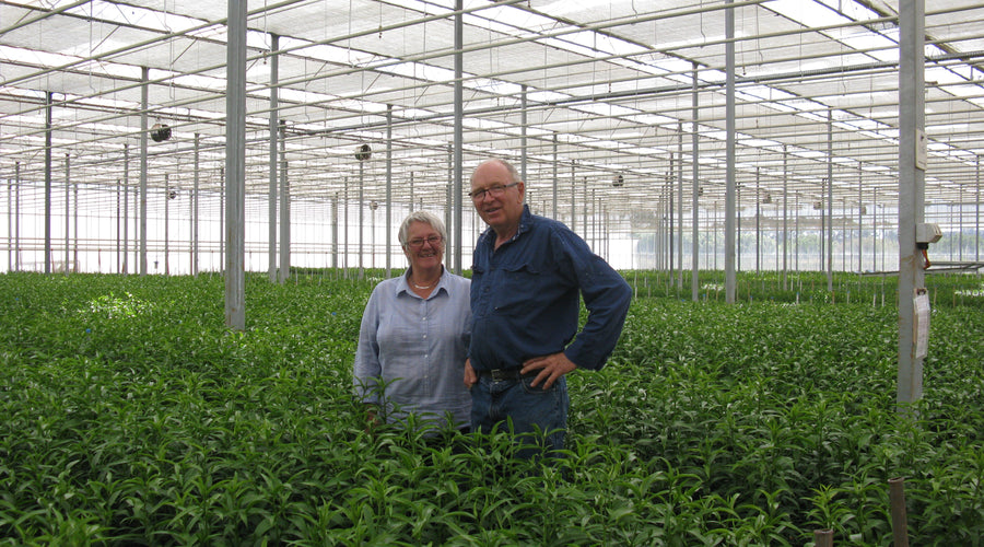 A BLOOMING GOOD LIFE. IT ALL BEGAN WITH JAN AND JOHN!