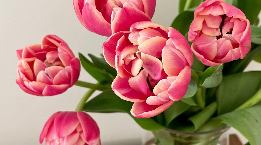 Know her favourite flower! 5 tips and types to understand her style!