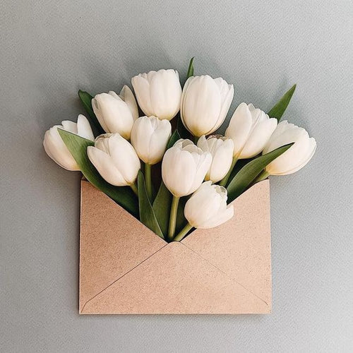 Fresh, clean and classic!  Our crisp white Tasmanian Farm Fresh Tulips are the perfect pick-me-up for your home!