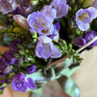 Load image into Gallery viewer, Freesias (40 stems) + Vase