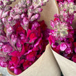 Load image into Gallery viewer, FARMGATE SNAPDRAGONS - MARKET BUNCH