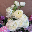 Load image into Gallery viewer, Bouquet of white ranunculus flowers with a blurred background