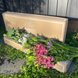 Load image into Gallery viewer, FARM FRESH BIG BLOOM BOX