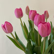 Load image into Gallery viewer, FARM FRESH TULIPS - SINGLE BUNCH (10 STEMS)