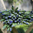 Load image into Gallery viewer, FARM FRESH DUTCH IRIS - SINGLE BUNCH