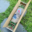 Load image into Gallery viewer, Tulip (Triple Bunch) Gift Flower Box