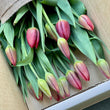 Load image into Gallery viewer, Tulip (Triple Bunch) Gift Flower Box