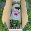 Load image into Gallery viewer, Tulip (Triple Bunch) Gift Flower Box