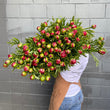Load image into Gallery viewer, FARM FRESH PEONY ROSES - TRIPLE BUNCH (18 STEMS)