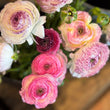 Load image into Gallery viewer, Close-up of pink and white flowers with green stems on a wooden surface