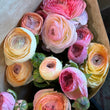 Load image into Gallery viewer, Bouquet of multicolored Tasmanian ranunculus flowers wrapped in brown paper