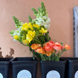 Load image into Gallery viewer, Subscription - 3 x Seasonal Market Bunches (Delivered Regularly)