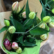 Load image into Gallery viewer, FARMGATE LOTUS LILY SINGLE PINK LILIUM LILIES