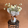 Load image into Gallery viewer, Ranunculus (Double Bunch) + Vase