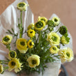 Load image into Gallery viewer, Bouquet of yellow flowers wrapped in white paper on a neutral background