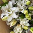 Load image into Gallery viewer, FARMGATE ORIENTAL LOTUS LILY (DOUBLE FLOWERED) LILIES / LILIUM - DOUBLE BUNCH (6 STEMS)