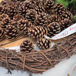 Load image into Gallery viewer, DIY NATURAL CHRISTMAS WREATH KIT