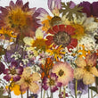Load image into Gallery viewer, Edible Pressed Flower Sheets