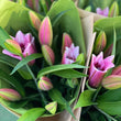 Load image into Gallery viewer, TEST  - SINGLE BUNCH (3 STEMS)