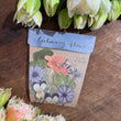 Load image into Gallery viewer, SOW N SOW Plantable Gift of Seeds Collection CULINARY FLOWERS