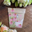 Load image into Gallery viewer, SOW N SOW Plantable Gift of Seeds Collection ECHINACEA