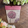 Load image into Gallery viewer, SOW N SOW Plantable Gift of Seeds Collection EVERLASTING DAISY