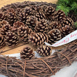 Load image into Gallery viewer, TASMANIAN GROWN AND GATHERED 30 SINGLE PETITE PINECONES FARMGATE FLOWERS DIRECT