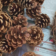 Load and play video in Gallery viewer, TASMANIAN GROWN AND GATHERED PINECONES IN A WREATH FARMGATE FLOWERS DIRECT