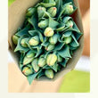 Load image into Gallery viewer, FARM FRESH TULIPS - DOUBLE BUNCH (20 STEMS)