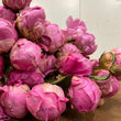 Load image into Gallery viewer, FARM FRESH PEONY ROSES - SINGLE BUNCH (6 STEMS)