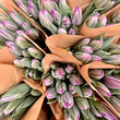 Load image into Gallery viewer, FARM FRESH TULIPS - DOUBLE BUNCH (20 STEMS)