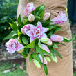 Load image into Gallery viewer, FARMGATE ORIENTAL LOTUS LILY (DOUBLE FLOWERED) LILIES / LILIUM - DOUBLE BUNCH (6 STEMS)