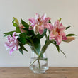 Load image into Gallery viewer, FARMGATE ORIENTAL LOTUS LILY (DOUBLE FLOWERED) LILIES / LILIUM - SINGLE BUNCH (3 STEMS)