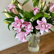 Load image into Gallery viewer, FARMGATE ORIENTAL LOTUS LILY (DOUBLE FLOWERED) LILIES / LILIUM - TRIPLE BUNCH (9 STEMS)