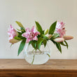 Load image into Gallery viewer, FARMGATE ORIENTAL LOTUS LILY (DOUBLE FLOWERED) LILIES / LILIUM - SINGLE BUNCH (3 STEMS)
