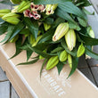 Load image into Gallery viewer, FLOWER DELIVERY BRISBANE FLOWERS BRISBANE FLORIST BRISBANE FLOWERS DELIVERY BRISBANE