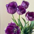 Load image into Gallery viewer, FARM FRESH TULIPS - DOUBLE BUNCH (20 STEMS)