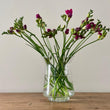 Load image into Gallery viewer, FARM FRESH FREESIAS - DOUBLE BUNCH (20 STEMS)