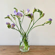 Load image into Gallery viewer, FARM FRESH FREESIAS - SINGLE BUNCH (10 STEMS)