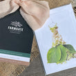 Load image into Gallery viewer, FLOWER DELIVERY BRISBANE FLOWERS BRISBANE FLORIST BRISBANE FLOWERS DELIVERY BRISBANE