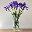 Load image into Gallery viewer, FARM FRESH DUTCH IRIS - SINGLE BUNCH