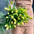 Load image into Gallery viewer, FARM FRESH ASIATIC LILIES - DOUBLE BUNCH (10 STEMS)