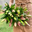 Load image into Gallery viewer, FARM FRESH ASIATIC LILIES - DOUBLE BUNCH (10 STEMS)