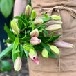 Load image into Gallery viewer, FARM FRESH ASIATIC LILIES - SINGLE BUNCH (5 STEMS)