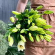 Load image into Gallery viewer, FARM FRESH ASIATIC LILIES - DOUBLE BUNCH (10 STEMS)