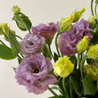 Load image into Gallery viewer, FARM FRESH LISIANTHUS - TRIPLE BUNCH