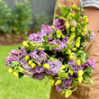 Load image into Gallery viewer, FARM FRESH LISIANTHUS - TRIPLE BUNCH