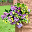 Load image into Gallery viewer, FARM FRESH LISIANTHUS - DOUBLE BUNCH
